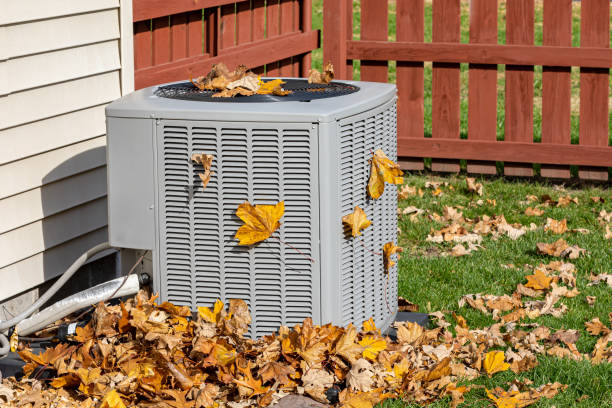 Best Central Air Repair  in Winnebago, MN