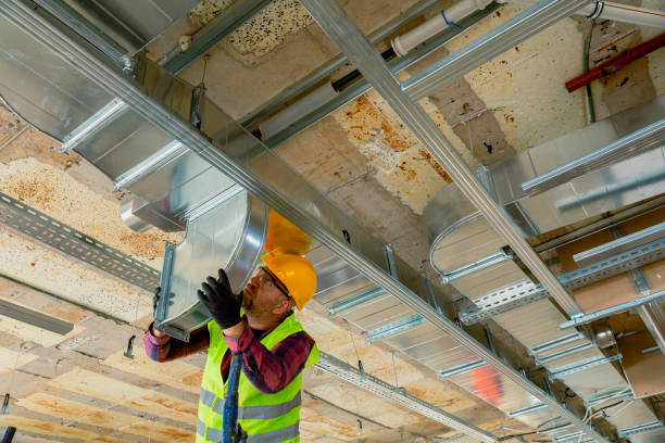 Best Residential HVAC Services  in Winnebago, MN