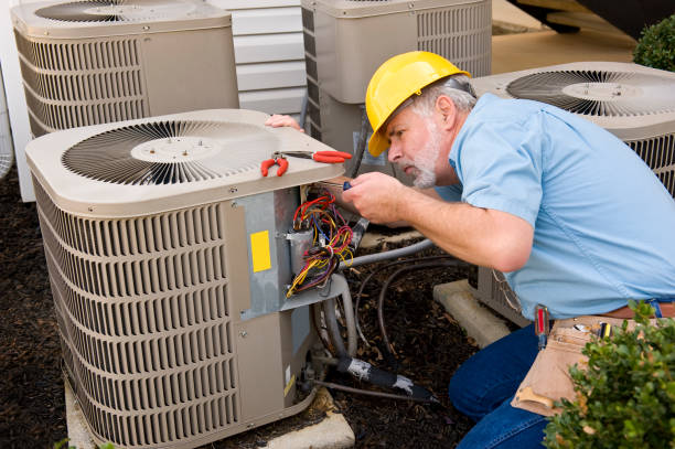 Best Best HVAC Companies  in Winnebago, MN